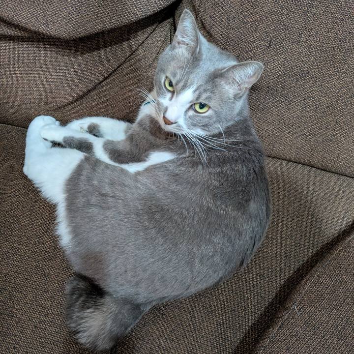 D000d64b 6223 4eb2 9f5b c89f7cb96a72 1733399409983