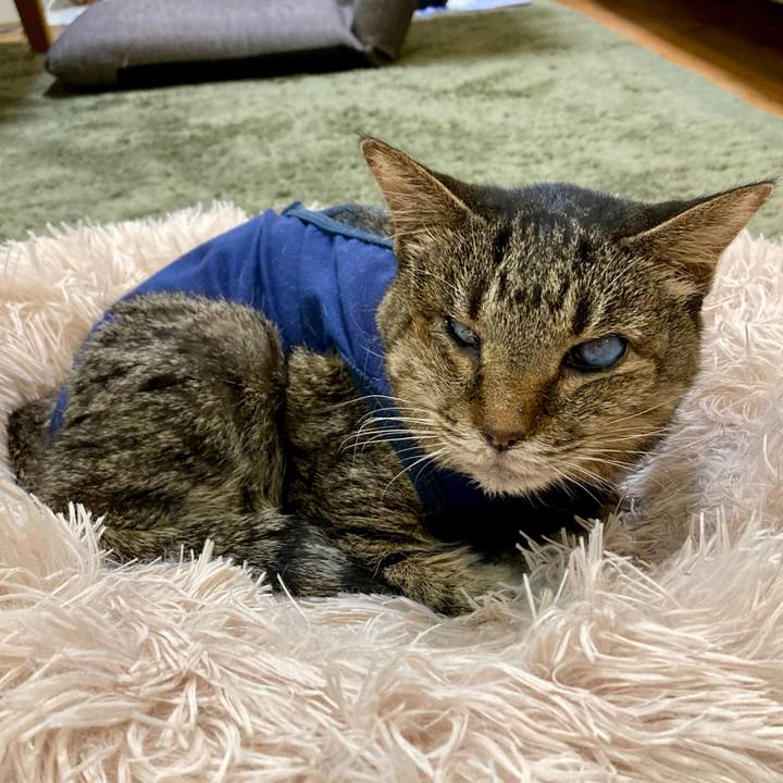 D000f403 2a7d 4583 ba27 56380cc37dcf 1686131709104