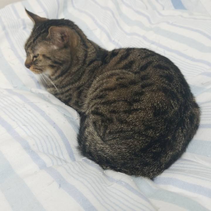 D001413d dd73 424d bcb1 3e272a7c6c54 1589751010500