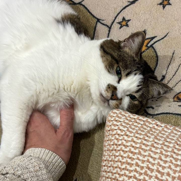 D00164f2 b244 4d51 b0b8 a0bf4d595a63 1762294542872