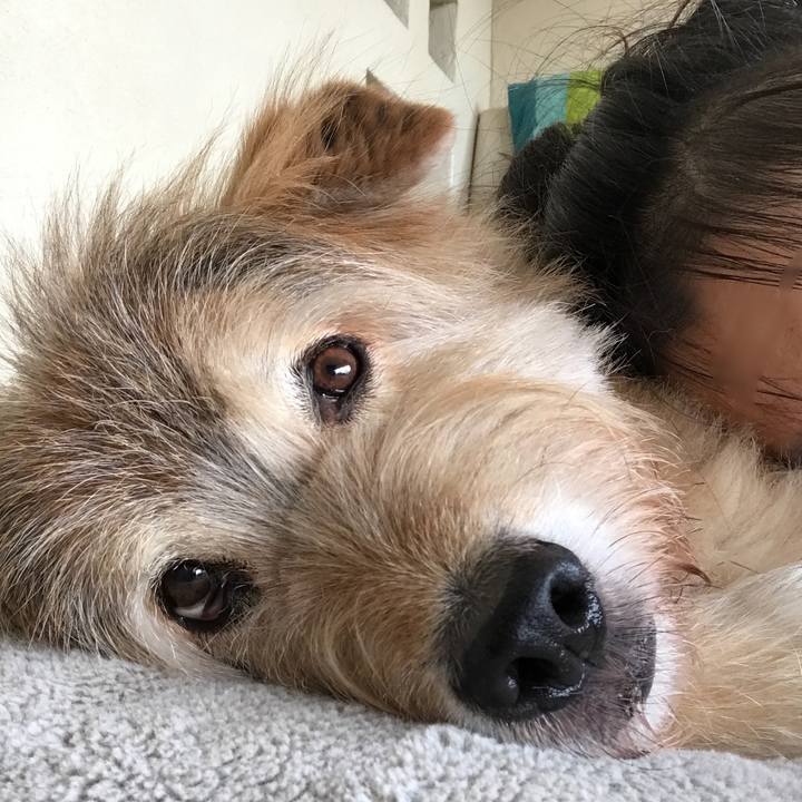 D0017cbe b631 4f92 90ac a02f403f3fb6 1605227790349