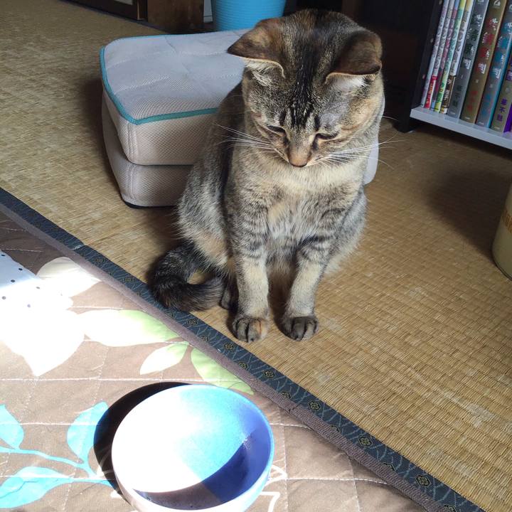 D0018460 f38c 4eea 94b2 b3a9b1a4e0c4 1587426208170