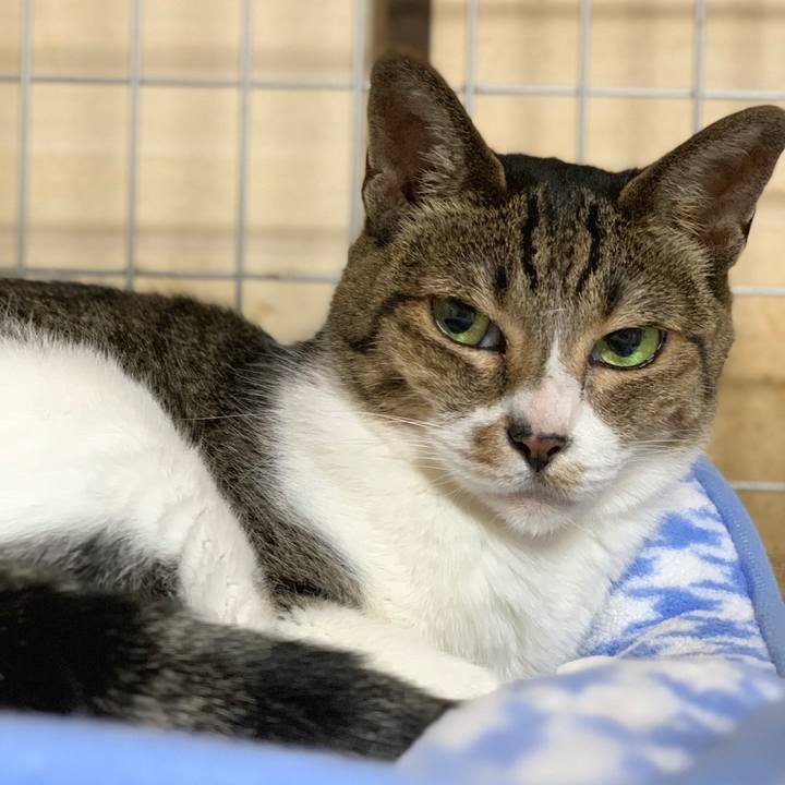 D0018495 91a3 4bd9 a6b0 23296cb77ee7 1599614625086