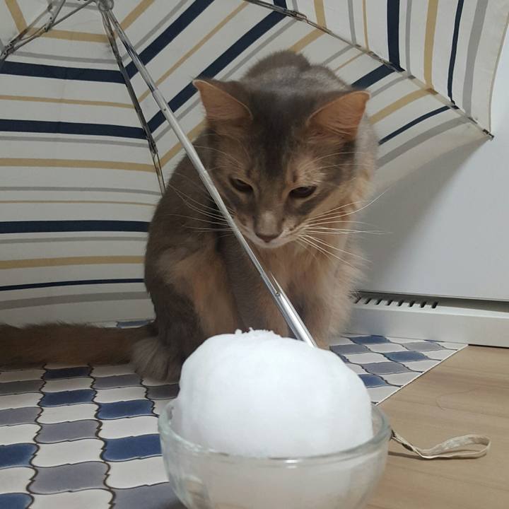 D001868a 5b44 4f3f a43b 31f72682c34e 1516613496966