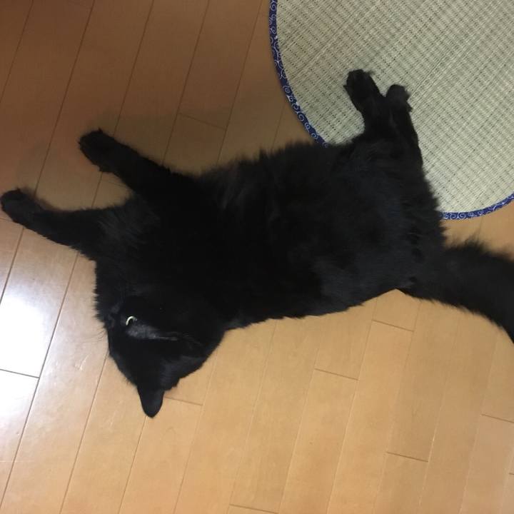 D0018ca4 8e88 41dd ba19 5ce3fbe8e94f 1531828206306