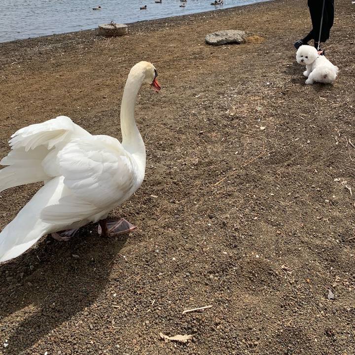 D001a338 4cbe 4ef2 822b e21f4353b86e 1649675077307