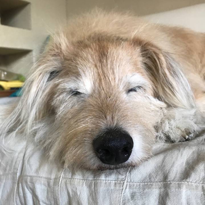 D001a7bd ceb5 40cb ac0a c68928271d3e 1622451704547