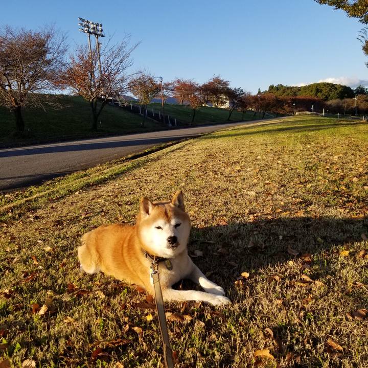 D001a962 03a9 4d45 a103 f14722d8ade9 1666768408946