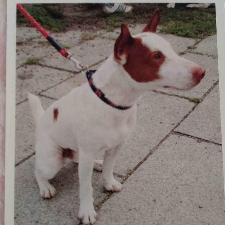 D001c403 e703 46e5 b8b8 0086e8dbc7cb 1654472271507