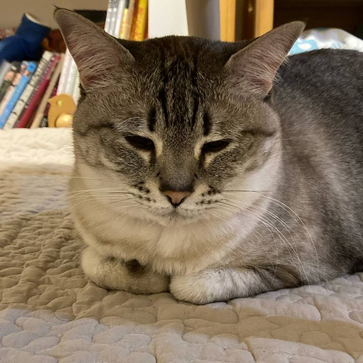 D001cb74 abf2 4481 886f a9d89c4977a5 1681519856900