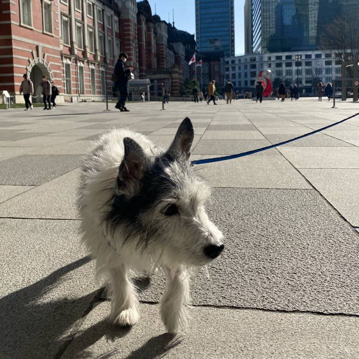 D001f062 2189 4394 980e 580d4294e28c 1613029992896