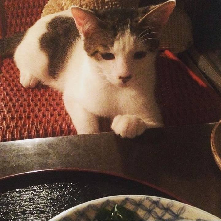 D001f677 a56b 4e11 b27b 873ac702d641 1516031422325