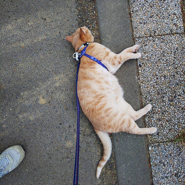 D0020395 d30b 496e 9b59 d3eb185c9c90 1623747852976