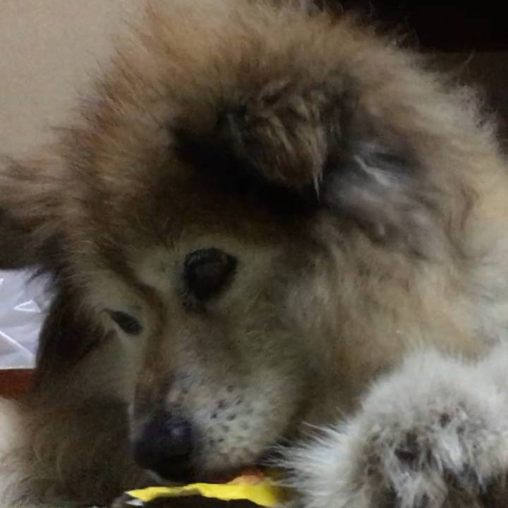 D0027d48 08b9 4a3a a278 8baa72b5dad6 1604878905958