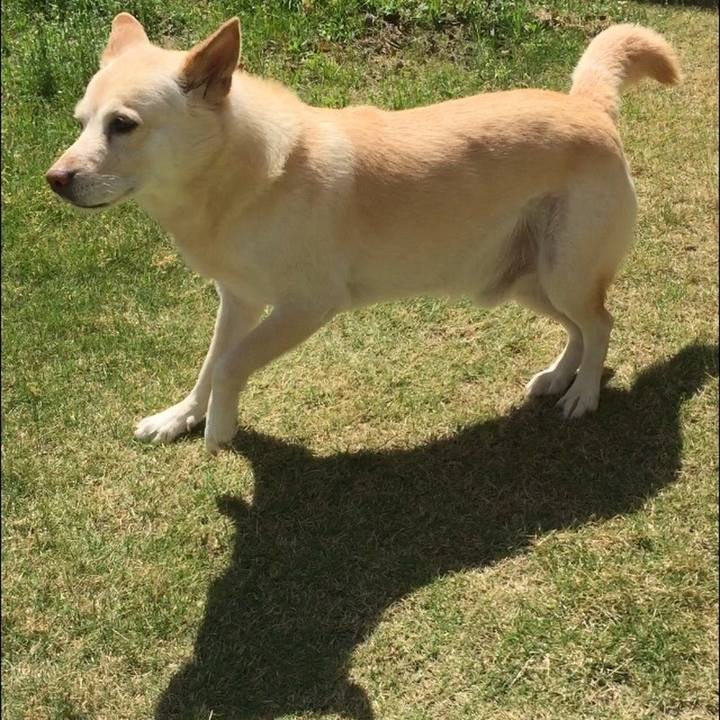 D002a295 e763 49be b962 c39d22ef8905 1523614126602