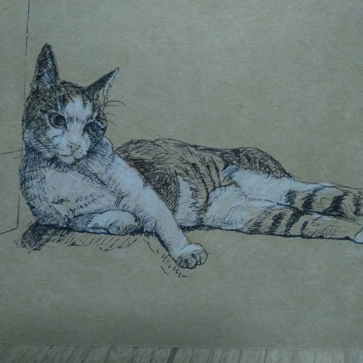 D002d212 e620 4dda 8194 a9ce05d8d741 1521119863015