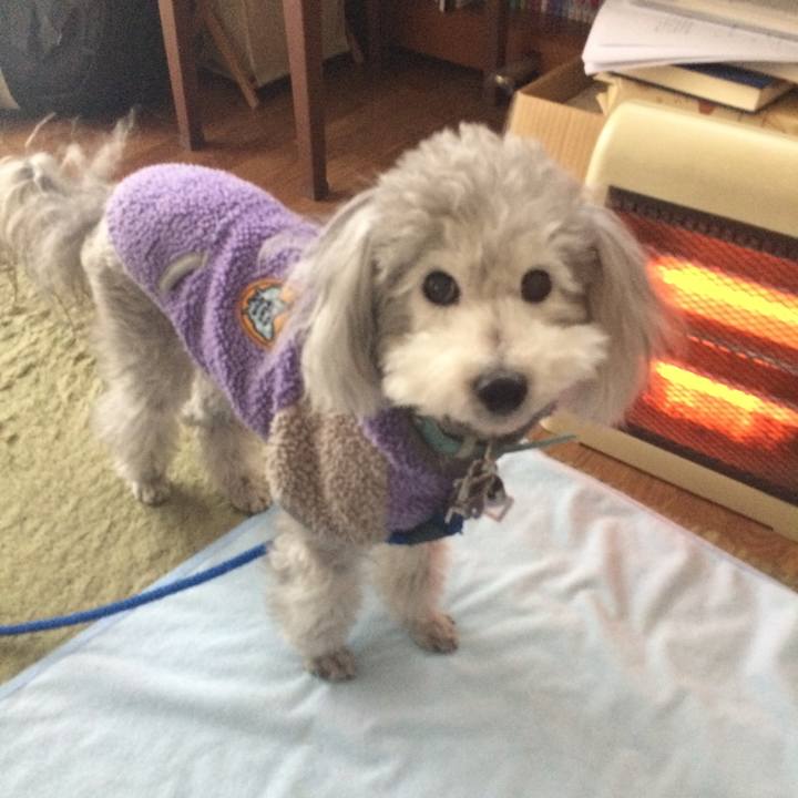 D002f627 6863 4554 b02b a19fd35e57a4 1517307167654