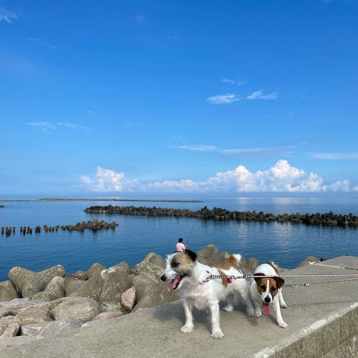 D002fb76 b96c 427f b22f d6736b06037a 1626996648387