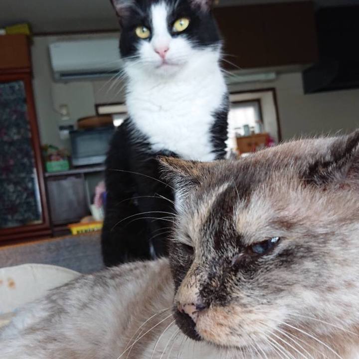 D003165c c469 444d b07c 06e4e38f3bb5 1566103650635