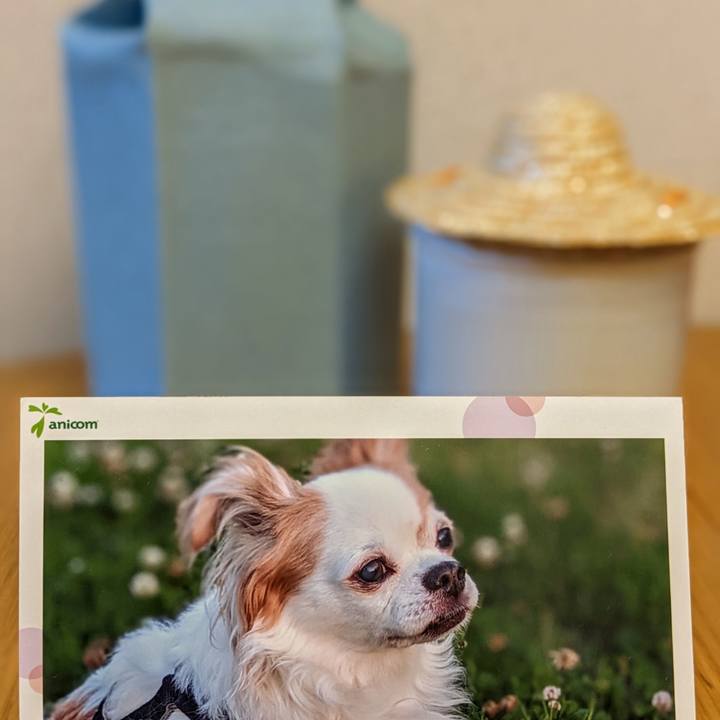 D0031fec cf57 410b 8fa8 8e9eb02e0714 1685715604382