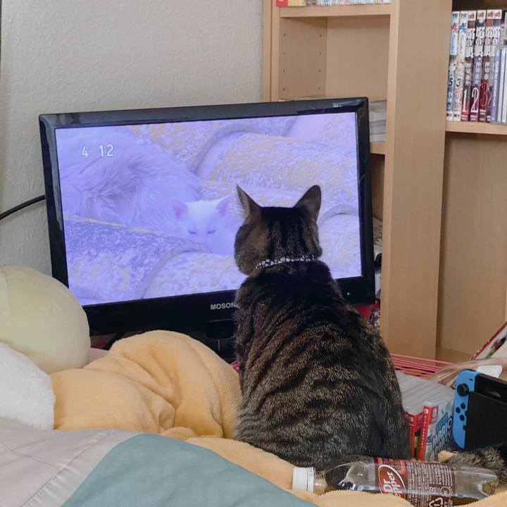 D003221c 912a 49c2 b023 8fce2df3d1f3 1581736570452