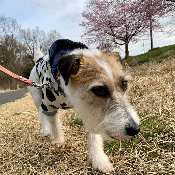 D0033f6d 223b 4120 a9b1 030ec2d5f9de 1678614489010