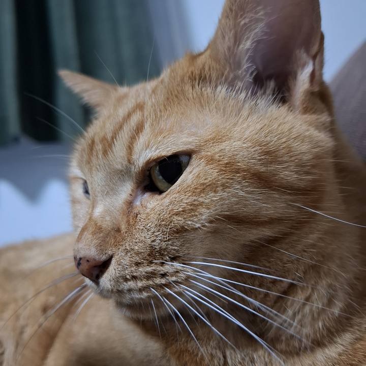 D0034c0e e19b 4549 b95d fda0336a11cf 1728995945287