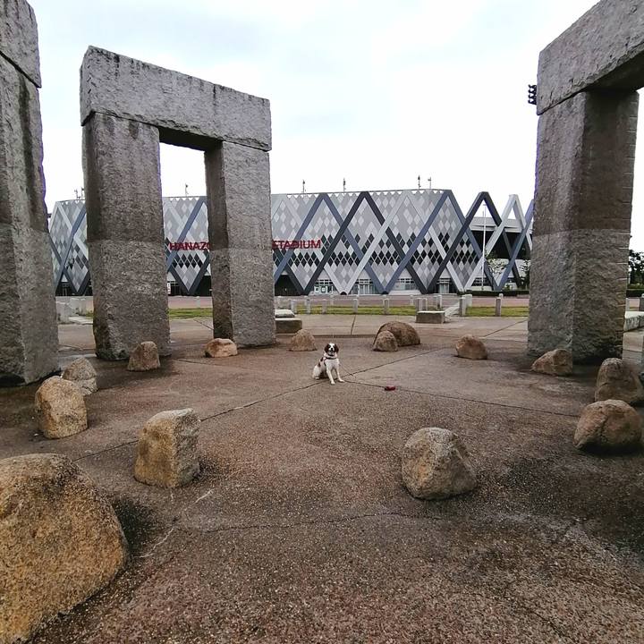 D003639b 8a8a 446a b206 8df20937fe97 1594712855827