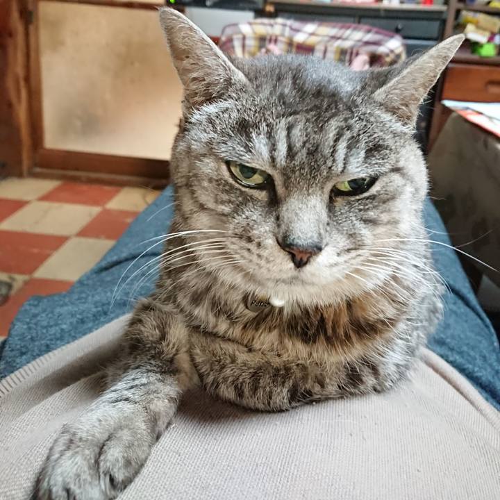 D0037d64 ff98 4ecb a778 bebb46d7d0a1 1575370779935