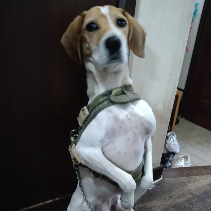 D0039637 6f72 4ecb 93b8 bef3d443f0e7 1670753270008