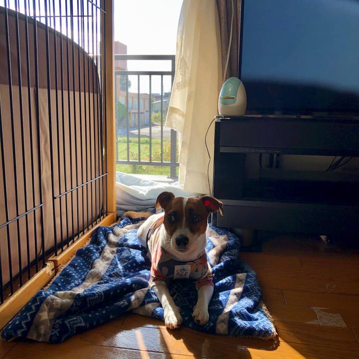 D003ba5d 33c7 4d2f a39f c16d73b9524d 1599607451791