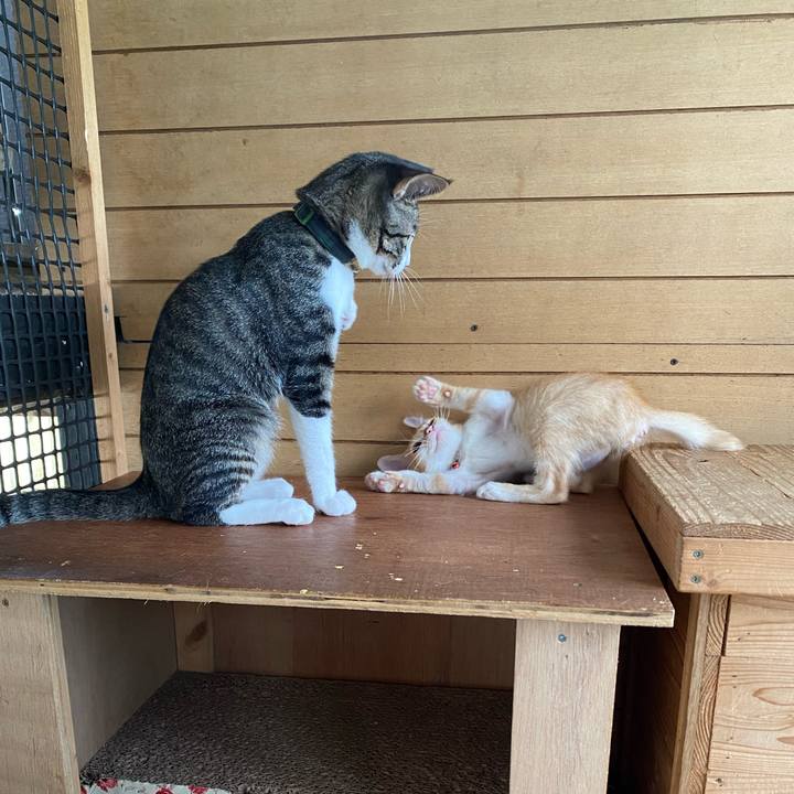 D003cbf0 f784 4fd4 9983 d21570fac025 1631417792603