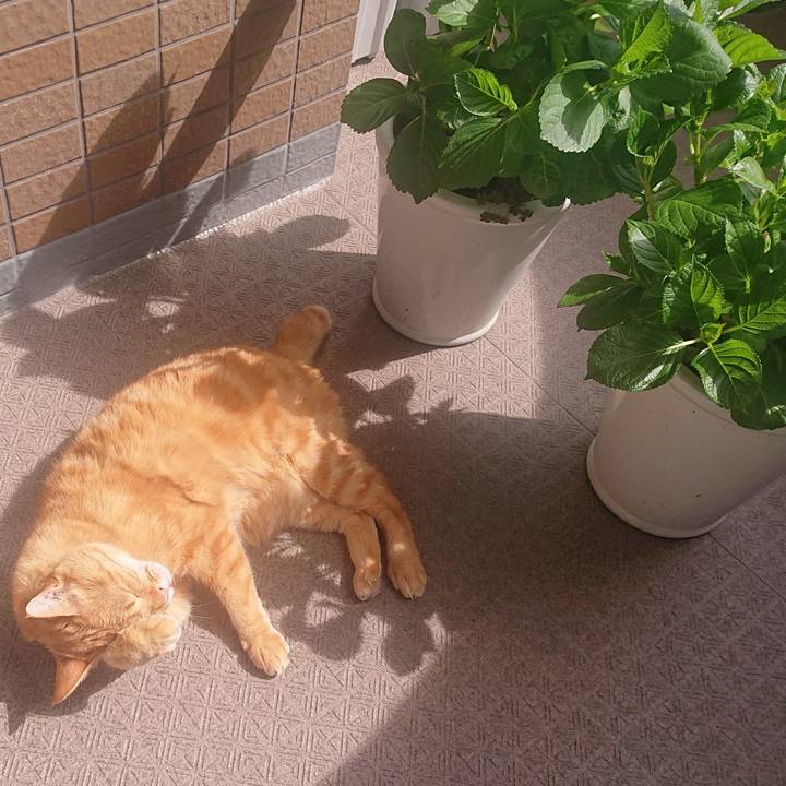 D003d8e9 df2a 4bc0 b234 38b513674eca 1679054234761