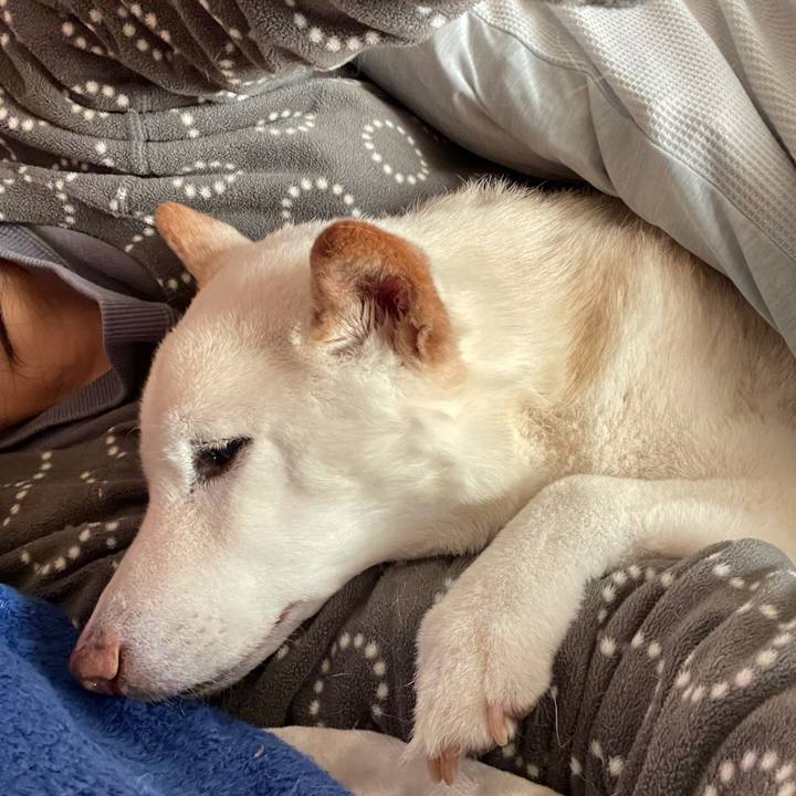 D003f109 37fb 47c9 9831 3db633e006ac 1639231048555