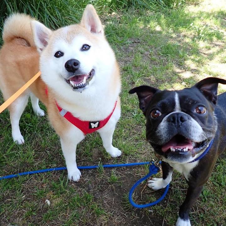 D003fd9a 36dd 4204 81c3 769a83521bf4 1731013432473