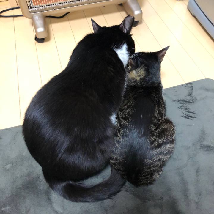 D004014d a2bd 4f1b 8e4f 33873fc03f51 1550236080948