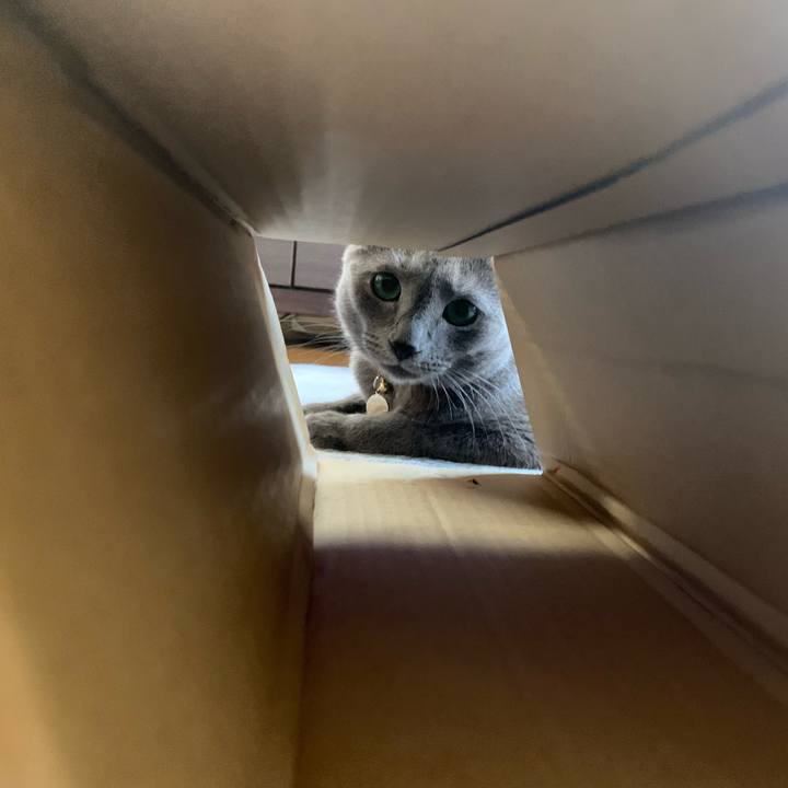 D0042395 3ed0 4d62 9be1 98f3f89240f8 1628037705394