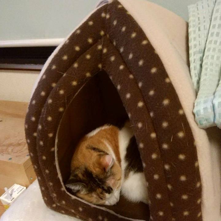 D00427c2 f1c7 47c5 85ec 3a5b6185a8a9 1589705554545