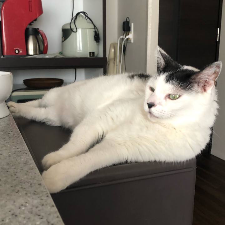 D0043a17 c04c 4108 b925 c2437076aa92 1599363131797