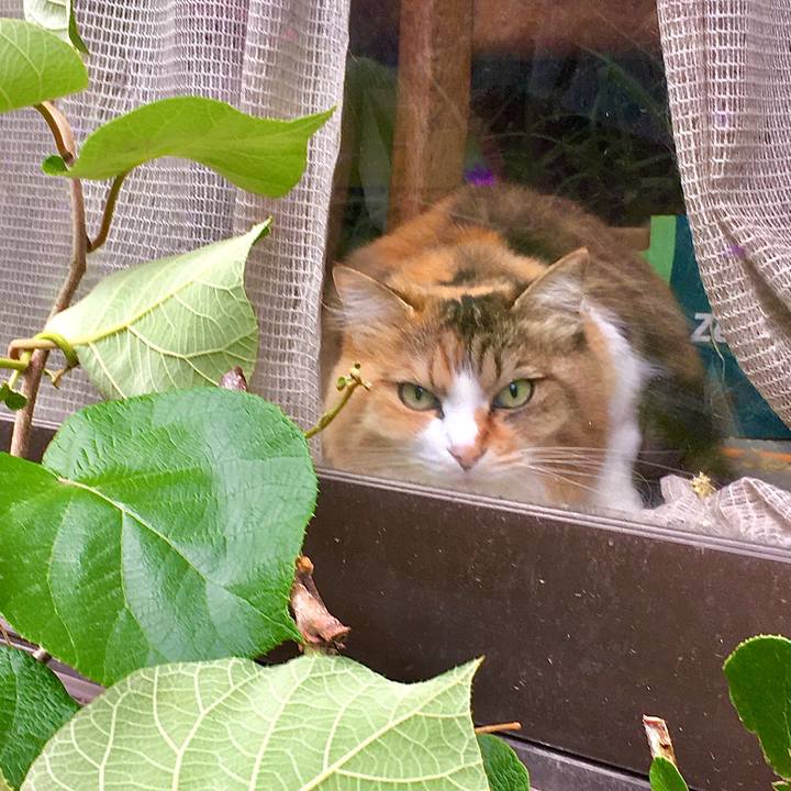 D0049494 3c5d 4fd3 b415 c2cec79b3d0d 1592037215147