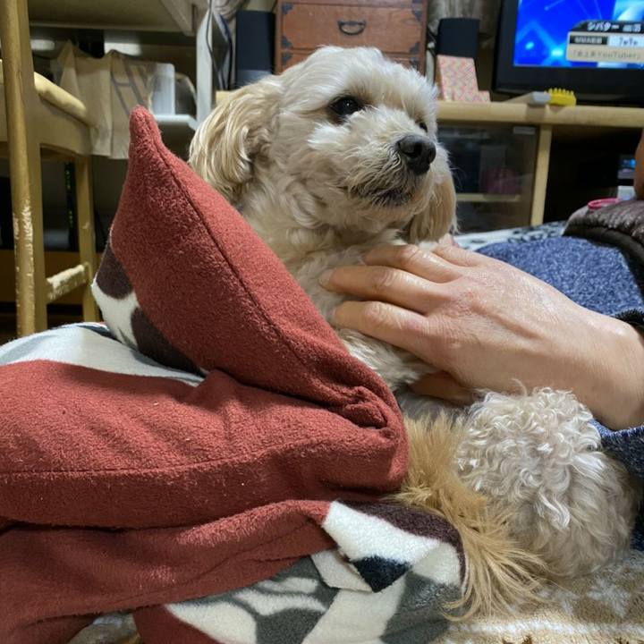 D0049a61 e389 4442 ae75 342ce037b915 1609409448274