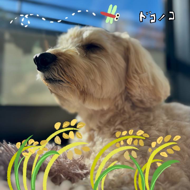 D004bbfa ae46 4977 8360 dfb521b2b158 1761103062960