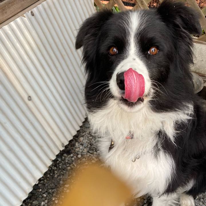 D004be71 e198 4bdc 9811 7e9962128959 1606437975283