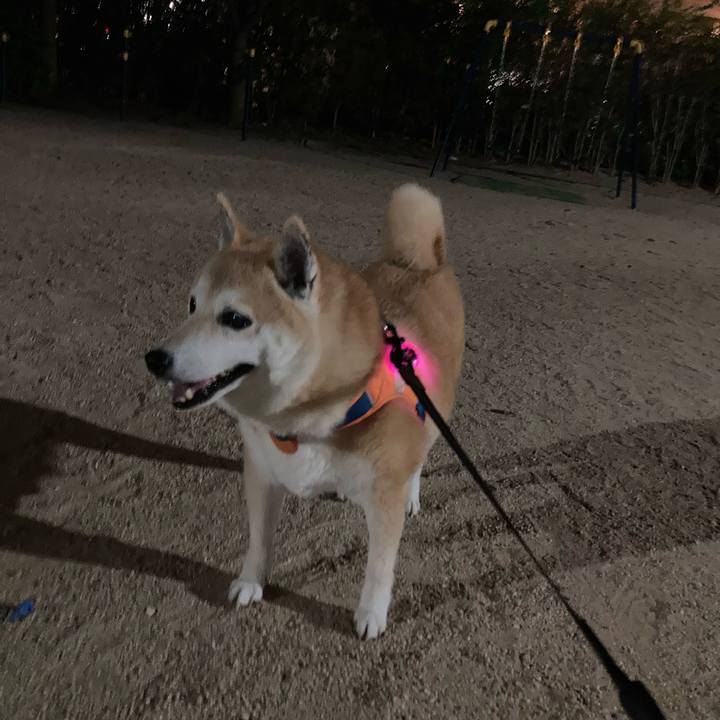 D004c84b 1cbd 4cb0 8697 5484d46f1068 1623319028388