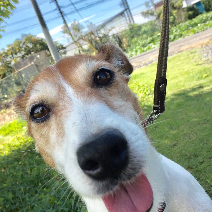 D004d404 ed5e 4094 b722 f7079609e488 1510232350690