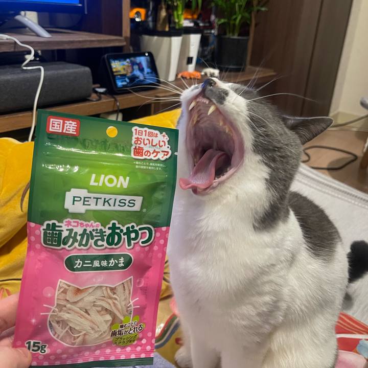 D004f1a0 b0b9 4203 8ee2 71c452755e68 1754756719086