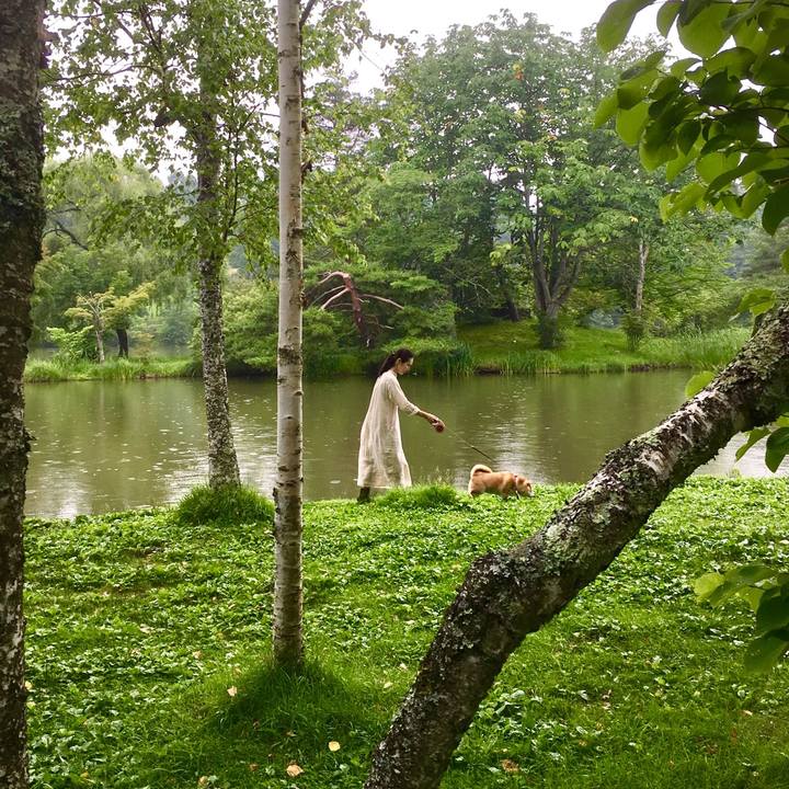 D00513a4 c7fe 44ad bcf0 848bc2ab5332 1563717589597