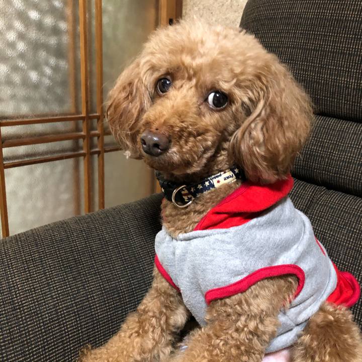 D0053889 812f 4c44 9227 1e2e39df1618 1621753533515