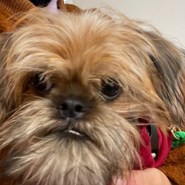 D0064032 9089 4973 8ab9 59a819986135 1669038401642