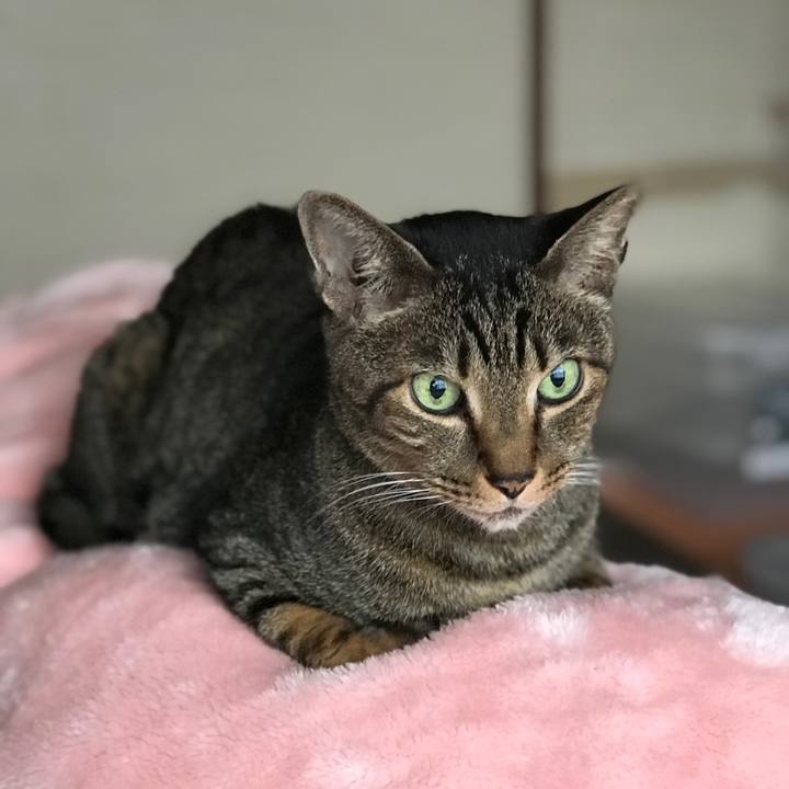 D0068a42 24c2 4d27 a027 d8ab0a9a1e54 1516151635474